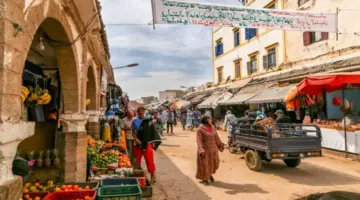 بـ18 ألف طن.. الصادرات الزراعية المغربية تُرسّخ حضورها : CNN الاقتصادية